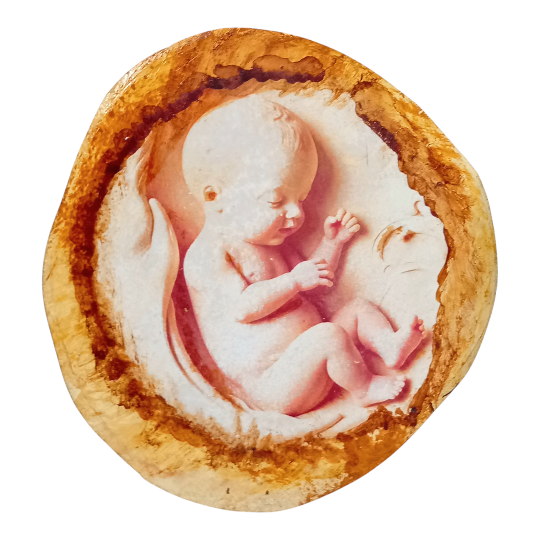 نخستین نفس خاک